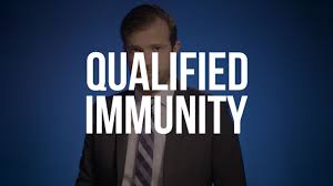 Challenge Qualified Immunity
